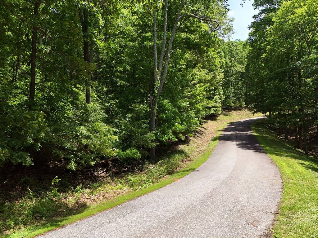 Blairsville, GA 30512,Lot 45 Cherrywood Hill