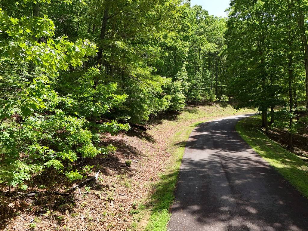 Blairsville, GA 30512,Lot 45 Cherrywood Hill