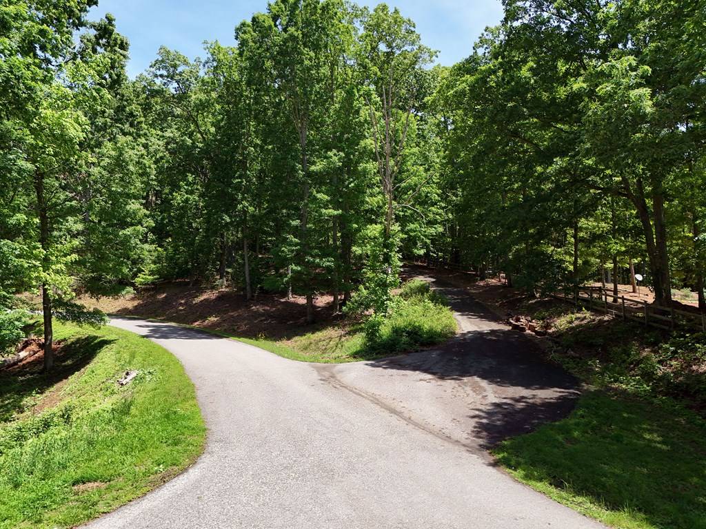 Blairsville, GA 30512,Lot 43 Cherrywood Hill