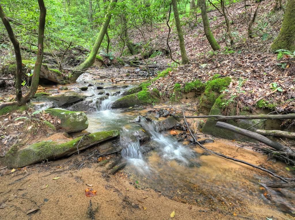 Ellijay, GA 30540,744 Dover Falls Trail