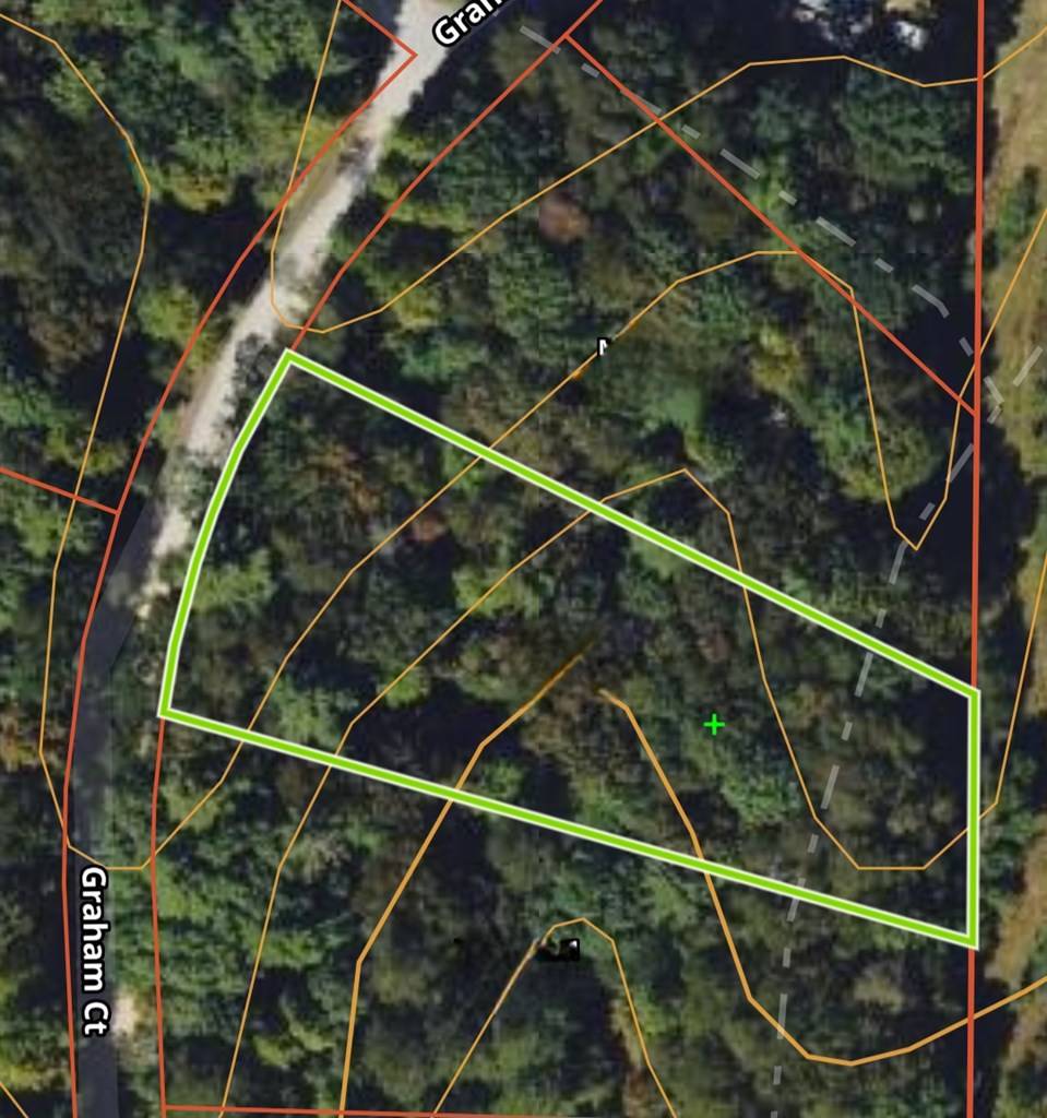Ellijay, GA 30540,Lot 3760 Graham Court