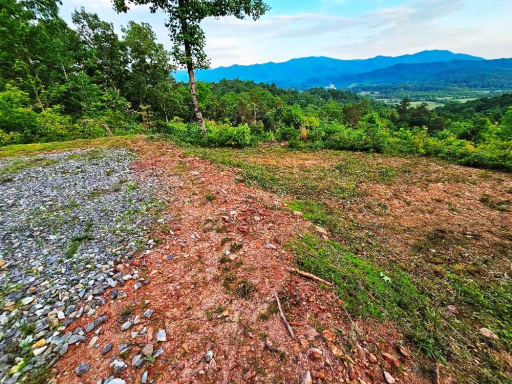 Marble, NC 28905,129 Emersyn Rose Lane