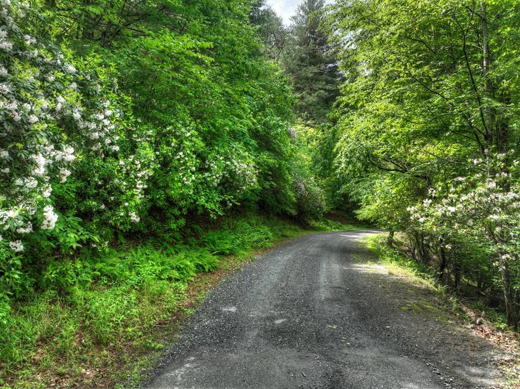 Blue Ridge, GA 30513,Lt 13 Ridge Road