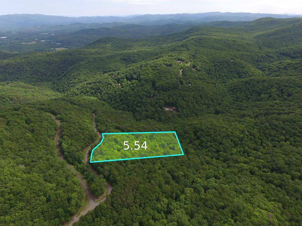 Ellijay, GA 30536,0 Andes Ridge