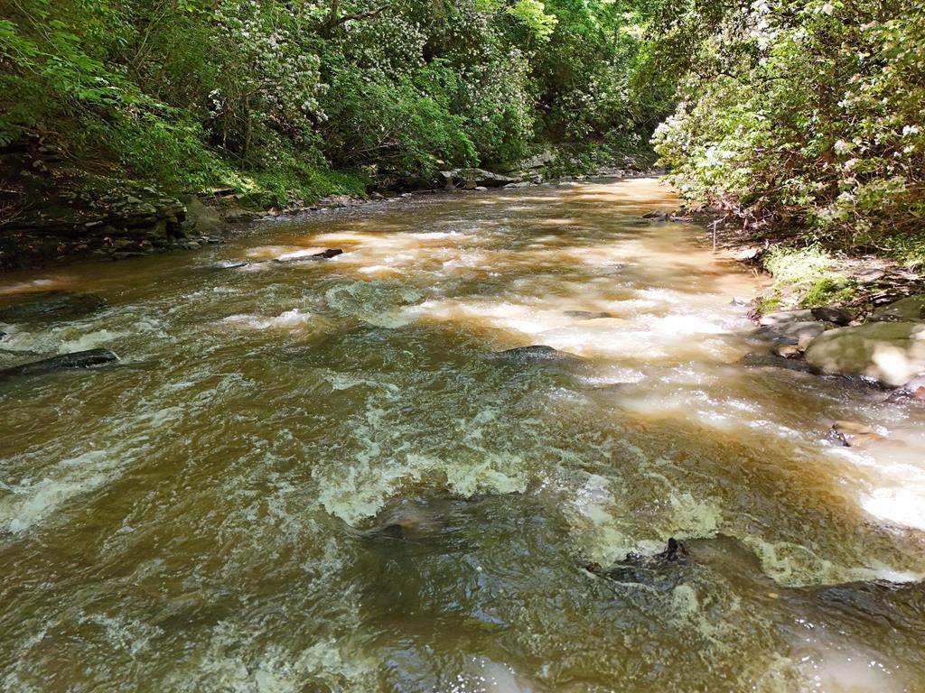 Talking Rock, GA 30175,2 Carver Mill Road