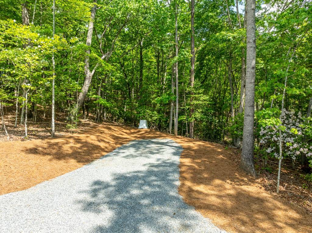 Morganton, GA 30560,221 Goldmine Road