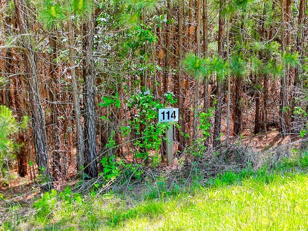 Blairsville, GA 30512,Lot 114 Sandy Lake Lane