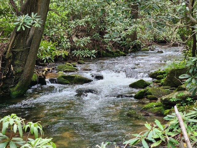 Cherry Log, GA 30522,LL 25 Cashes Valley