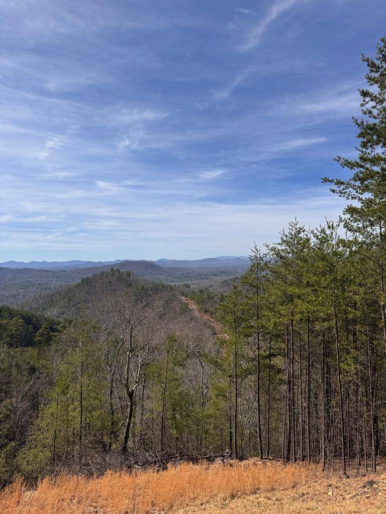 Murphy, NC 28906,Lt 35 Crested Eagle Lane