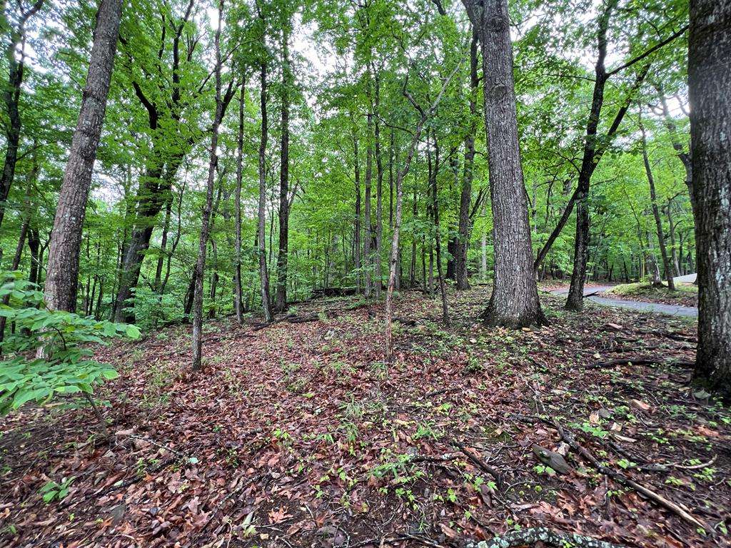 Jasper, GA 30143,0 Sassafras Court
