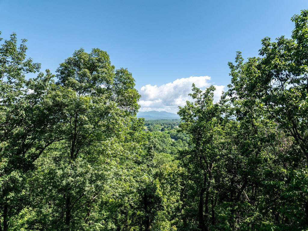 Murrayville, GA 30564,3.65 Ac Emory Stephens Rd.