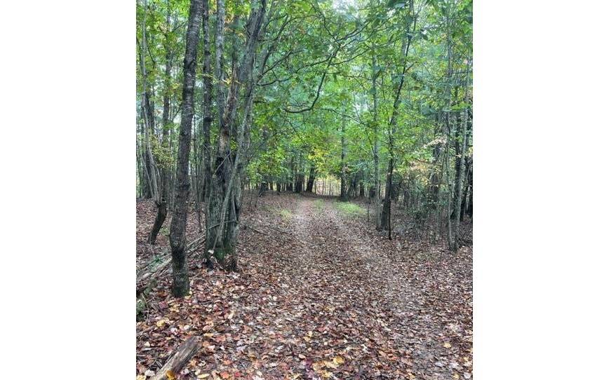 Murphy, NC 28906,TBD Tobe Stalcup Road