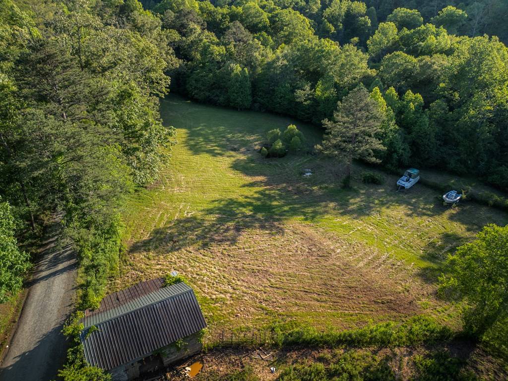 Morganton, GA 30560,4.59 AC Briar Cove Road