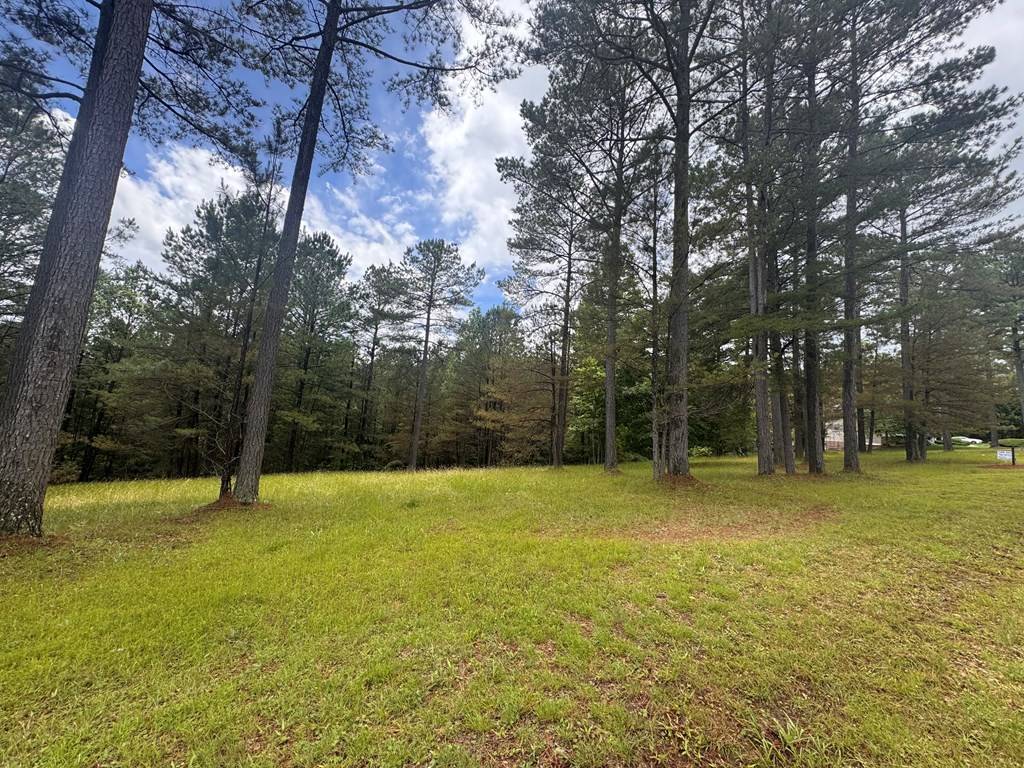 Blairsville, GA 30512,Lot 45 Sweetwater Lane