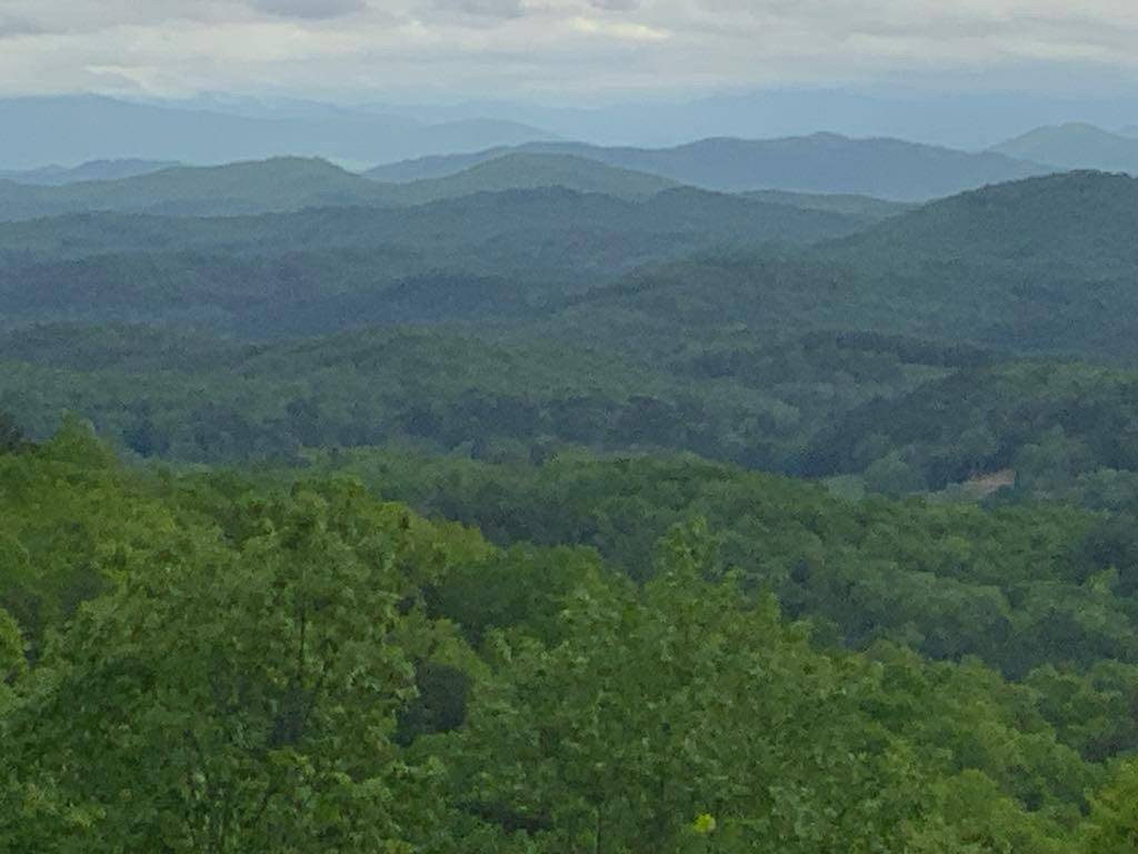 Murphy, NC 28906,520 Sahkanaga Drive