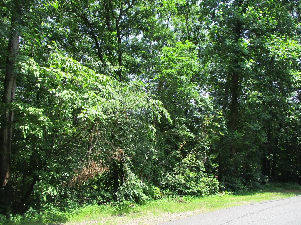 Hayesville, NC 28904,74A Licklog Ridge