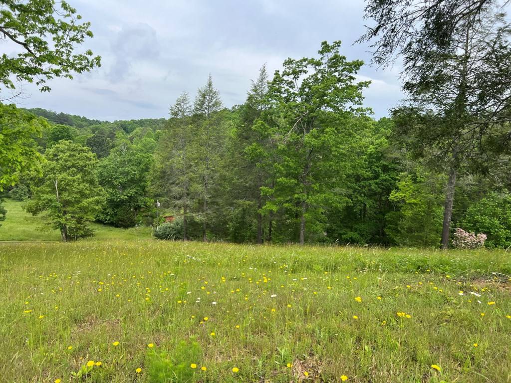 Blairsville, GA 30512,Lot 52 Madeline Way