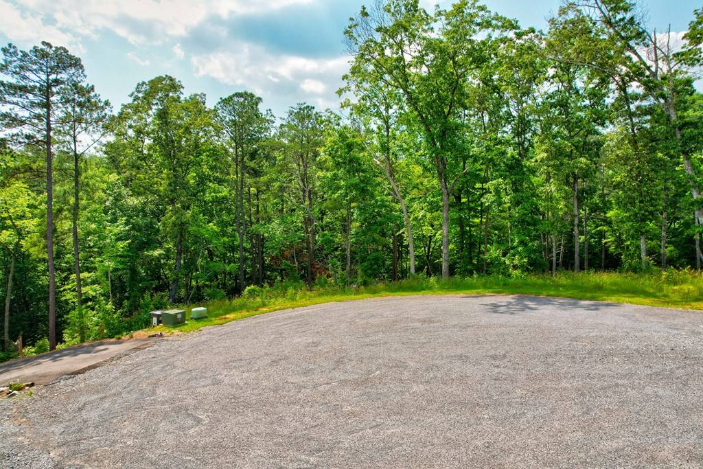 Ellijay, GA 30540,Lot 16 Lake Top Lane