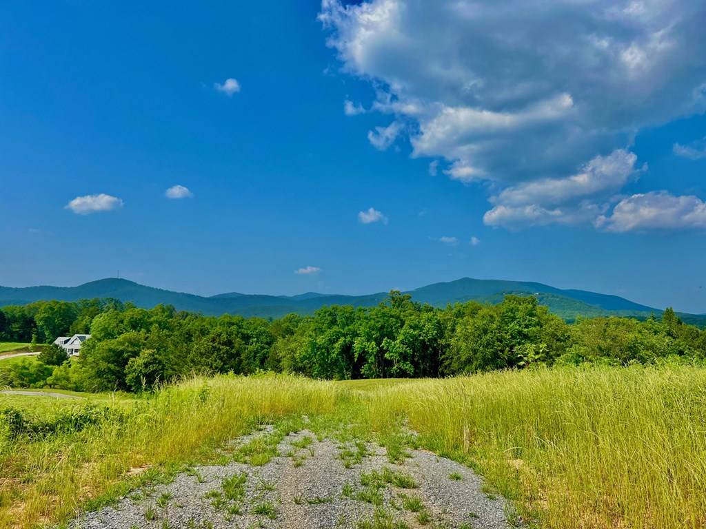 Ellijay, GA 30536,26 Ridgemont Lane