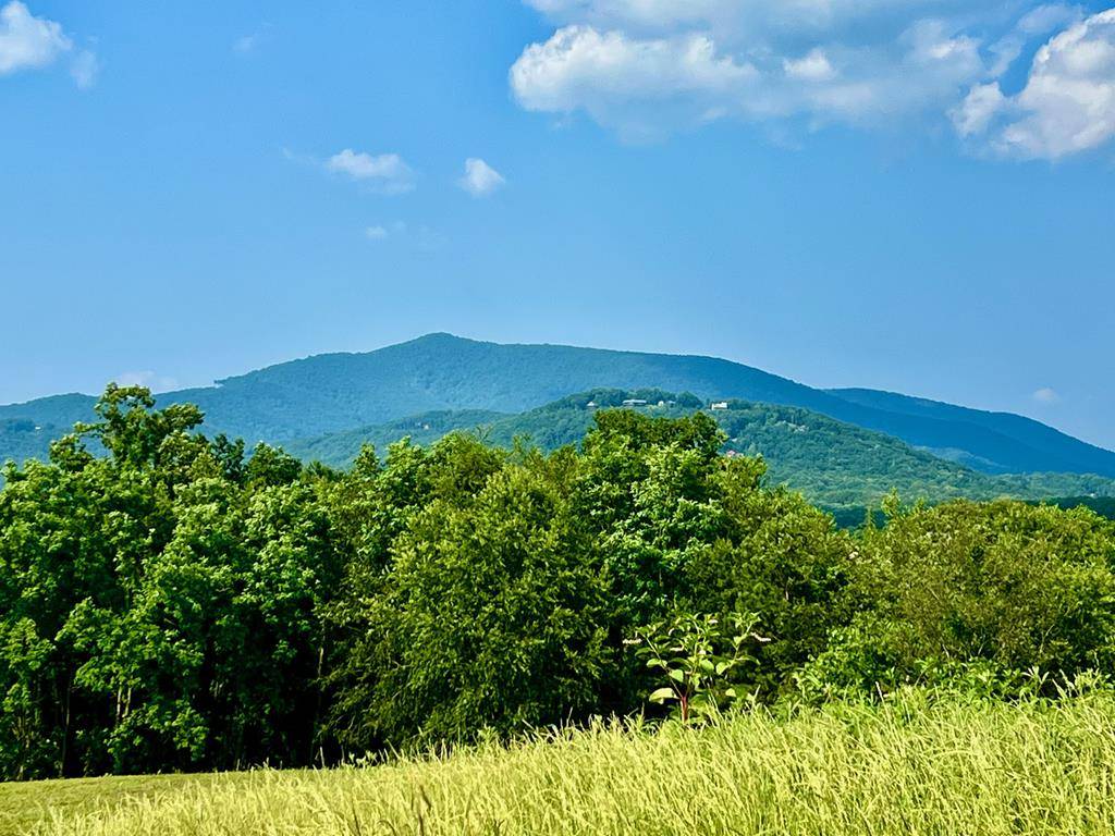 Ellijay, GA 30536,26 Ridgemont Lane