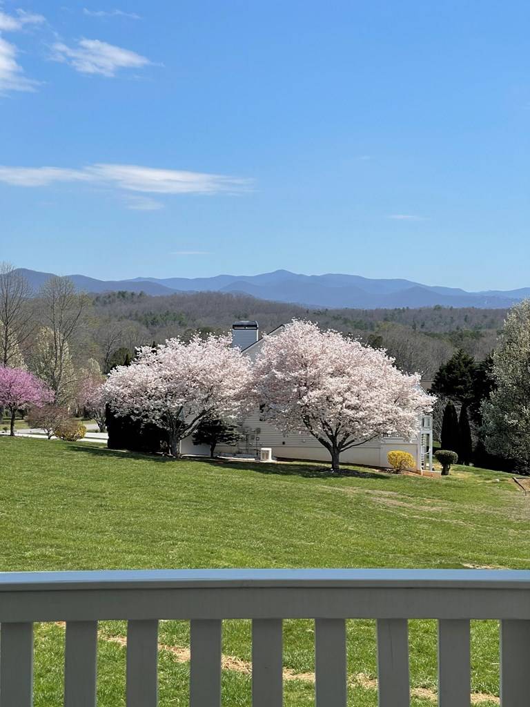 Blairsville, GA 30512,15 Kiloran Way