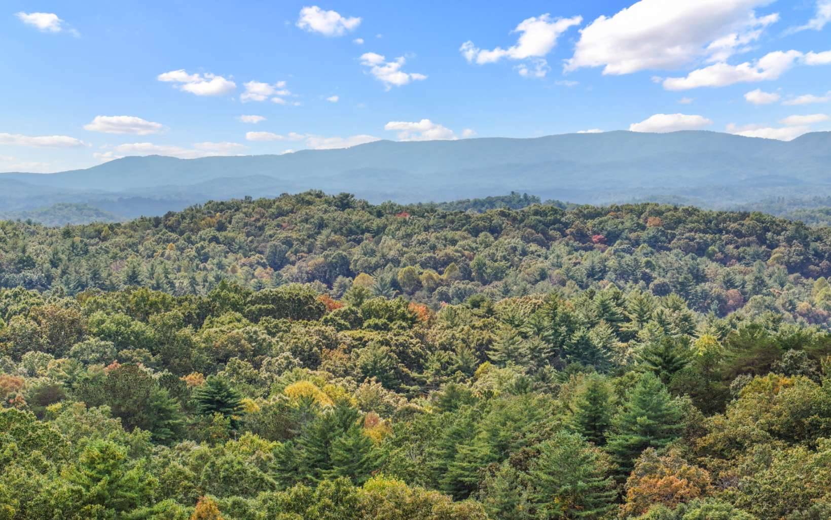 Ellijay, GA 30540,0 Oceola Dr - Lot #7