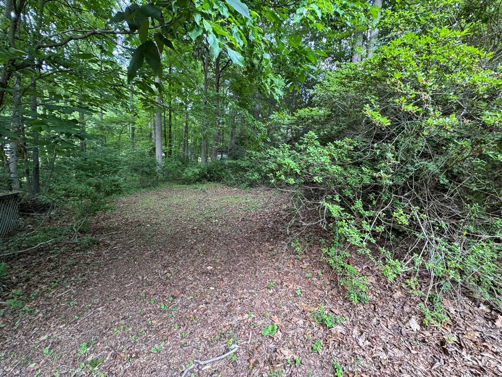 Blairsville, GA 30512,291 Pinebrook Drive