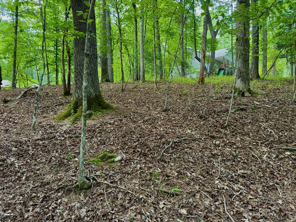 Ellijay, GA 30540,694 Echo Lane