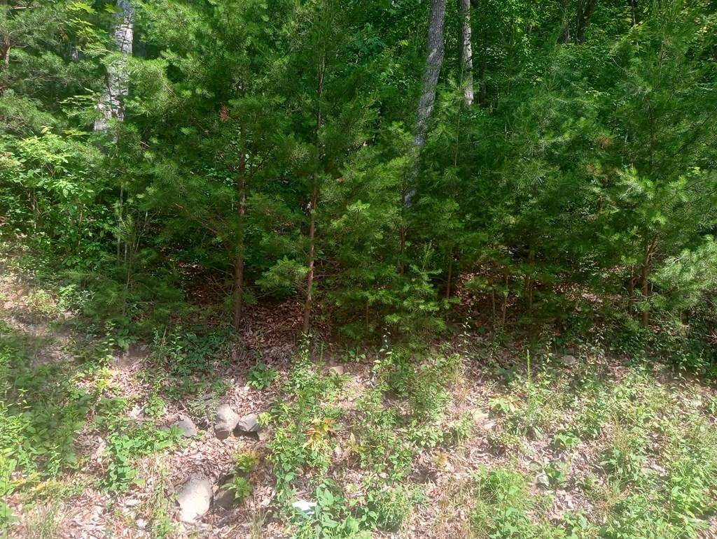 Ellijay, GA 30536,Lt 233 Stone Cliff Drive