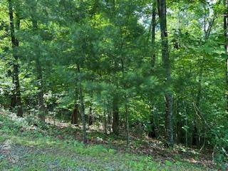 Brasstown, NC 28902,Lot 10 Trillium Heights