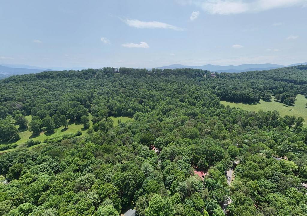 Blairsville, GA 30512,21 Acres Craig Thompson Drive
