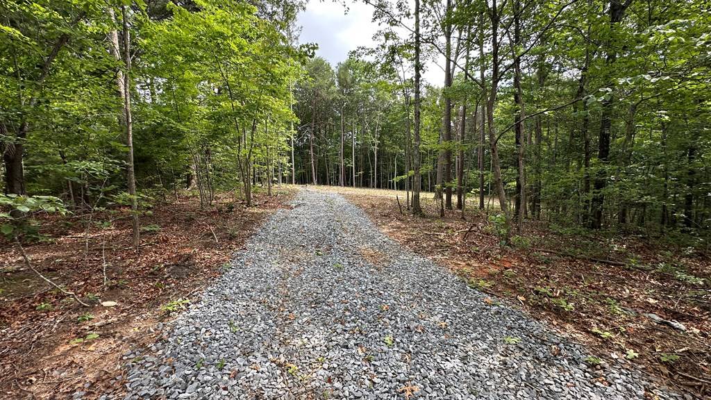 Ellijay, GA 30540,189 Country Hills Road
