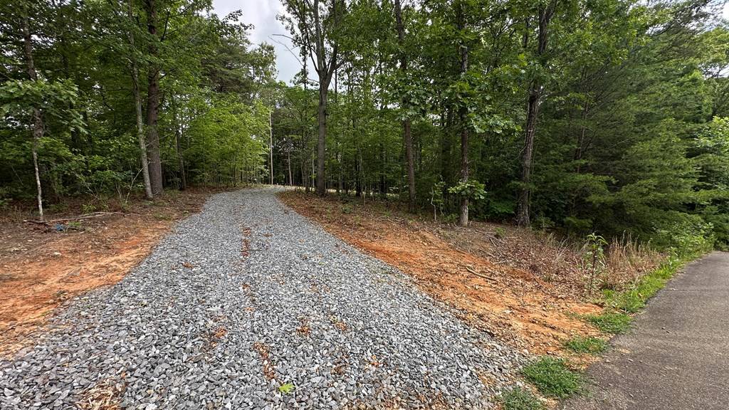 Ellijay, GA 30540,189 Country Hills Road