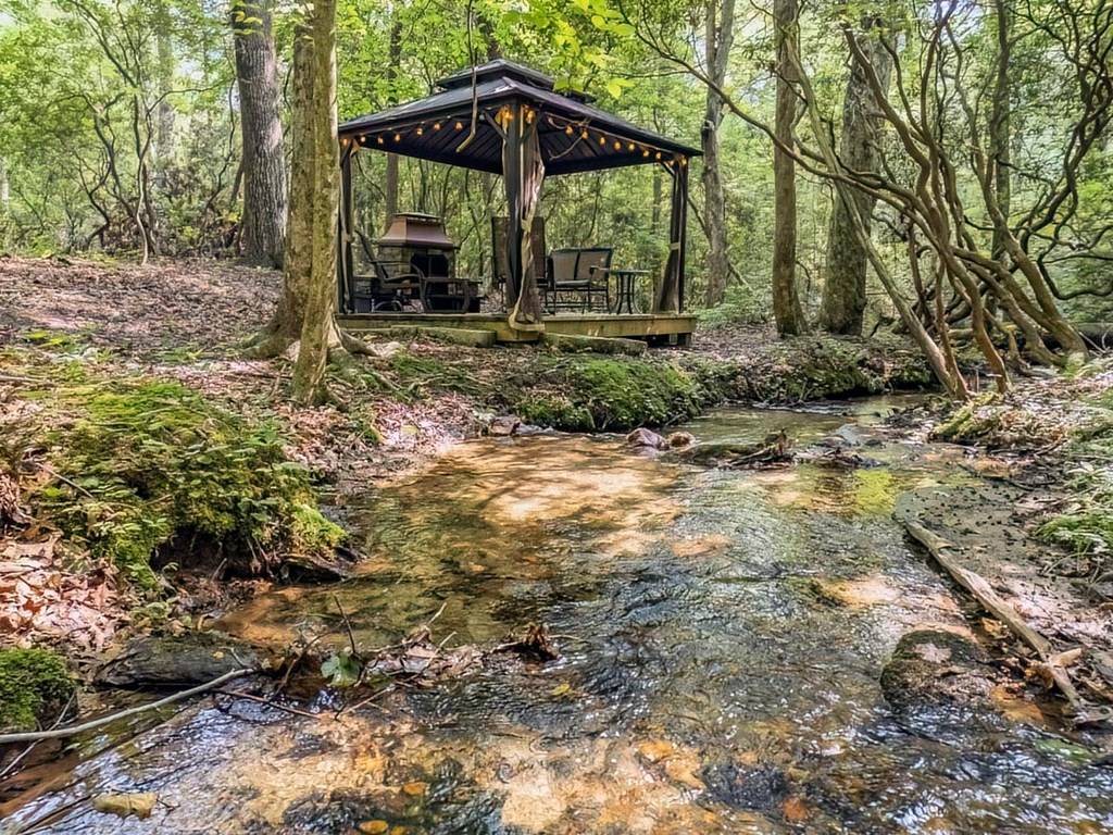 Blue Ridge, GA 30513,781 Mangums Trail
