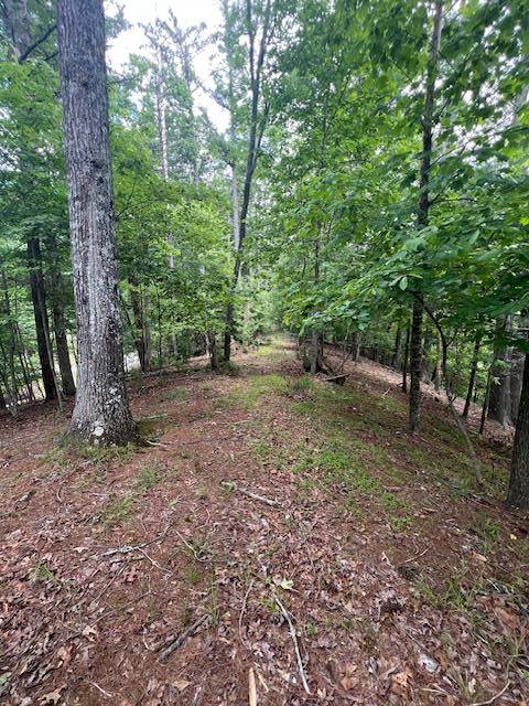 Mineral Bluff, GA 30559,Lot 20 Moonshine Mountain Road
