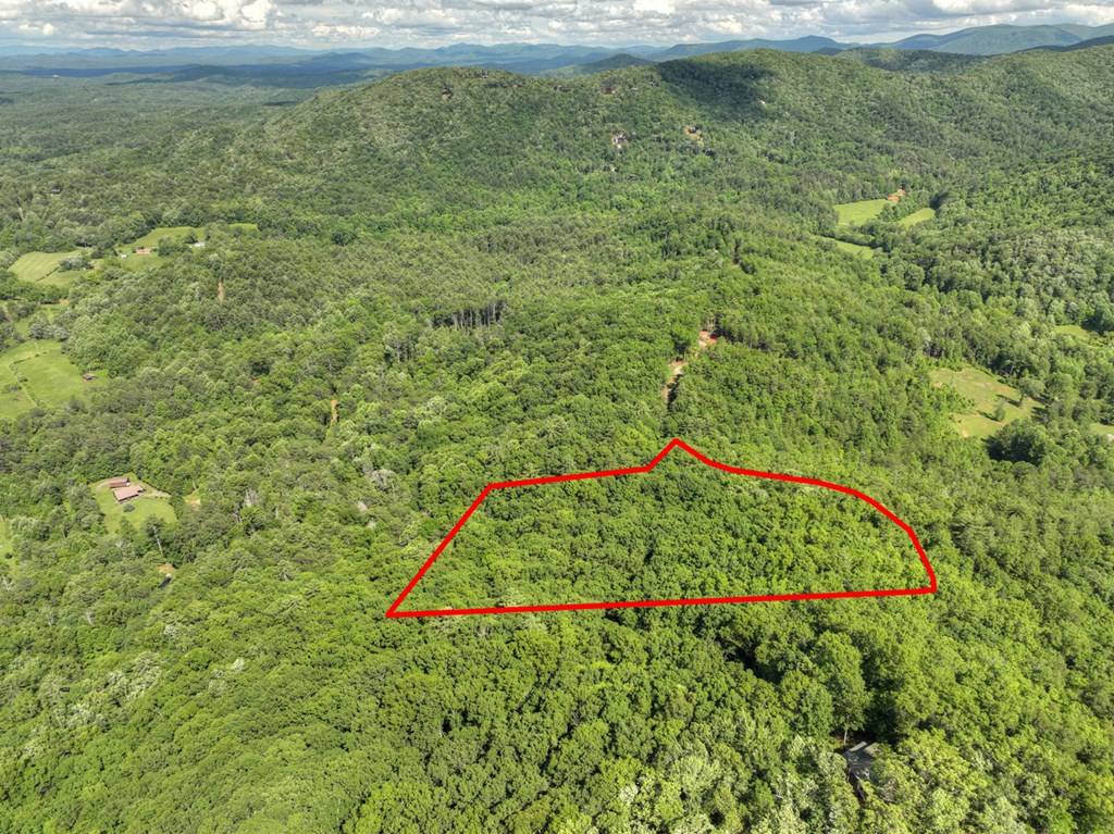 Epworth, GA 30541,0 Menagerie Ridge