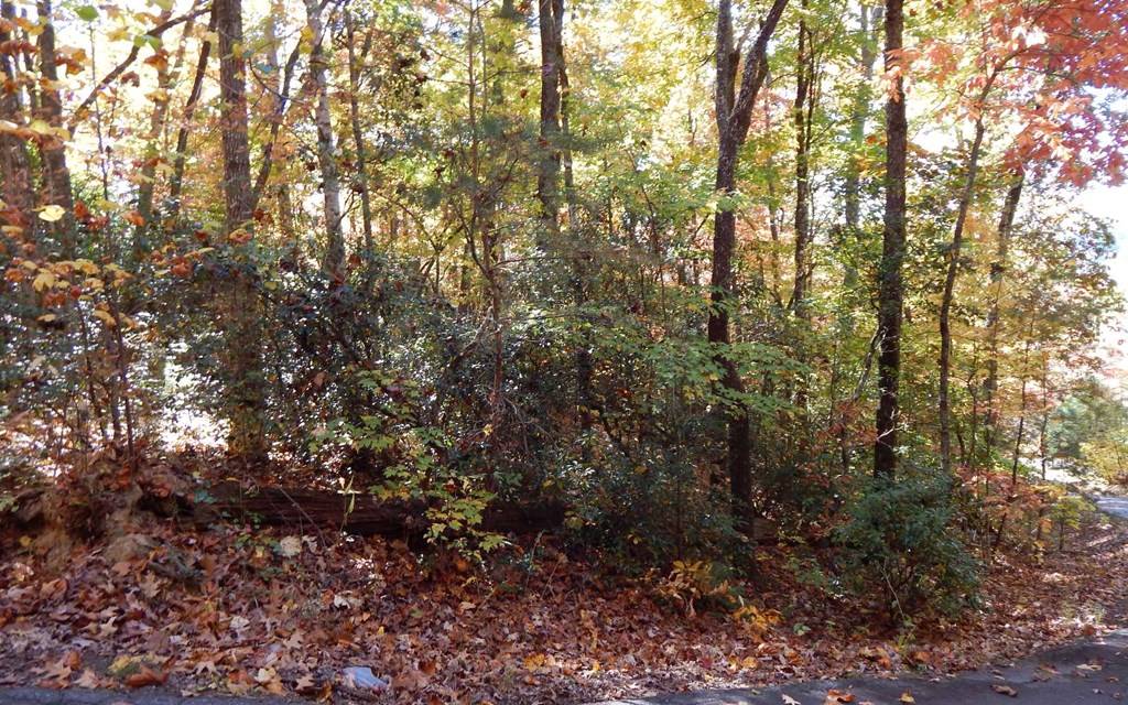Hayesville, NC 28904,#9 Pounding Mill Overlook