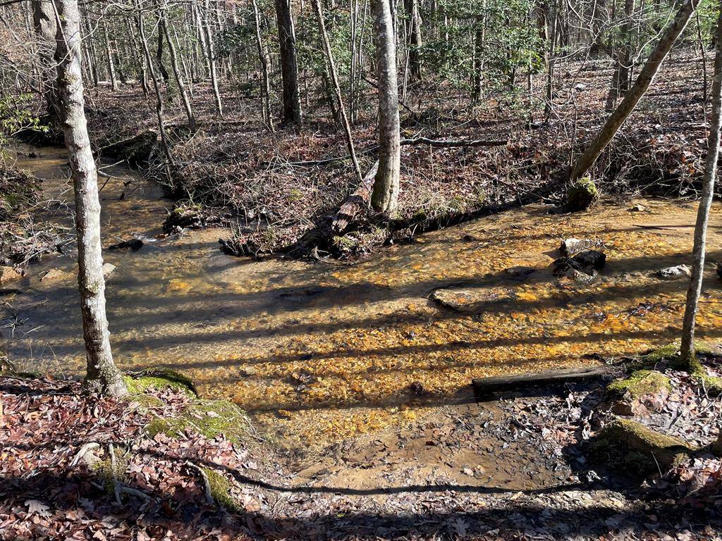 Mineral Bluff, GA 30559,Lot 15 Logan Drive