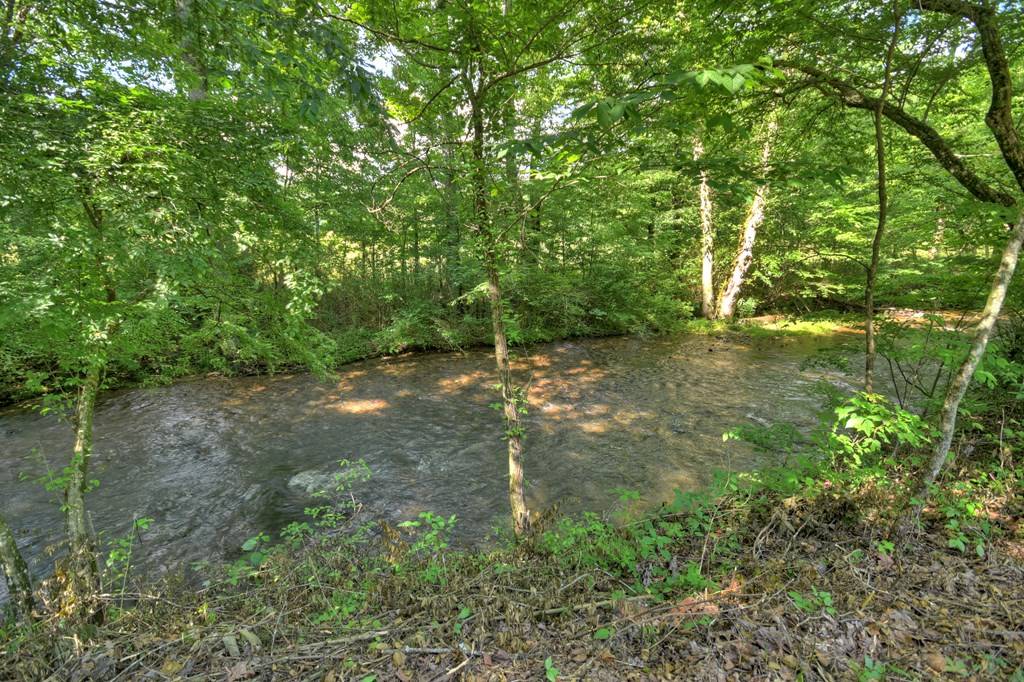 Ellijay, GA 30540,4525 Gates Chapel Road