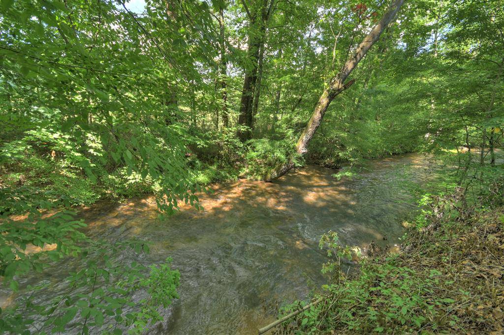 Ellijay, GA 30540,4527 Gates Chapel Road