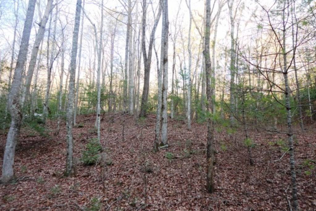 Hayesville, NC 28904,LT 23 Shelton Springs S/D