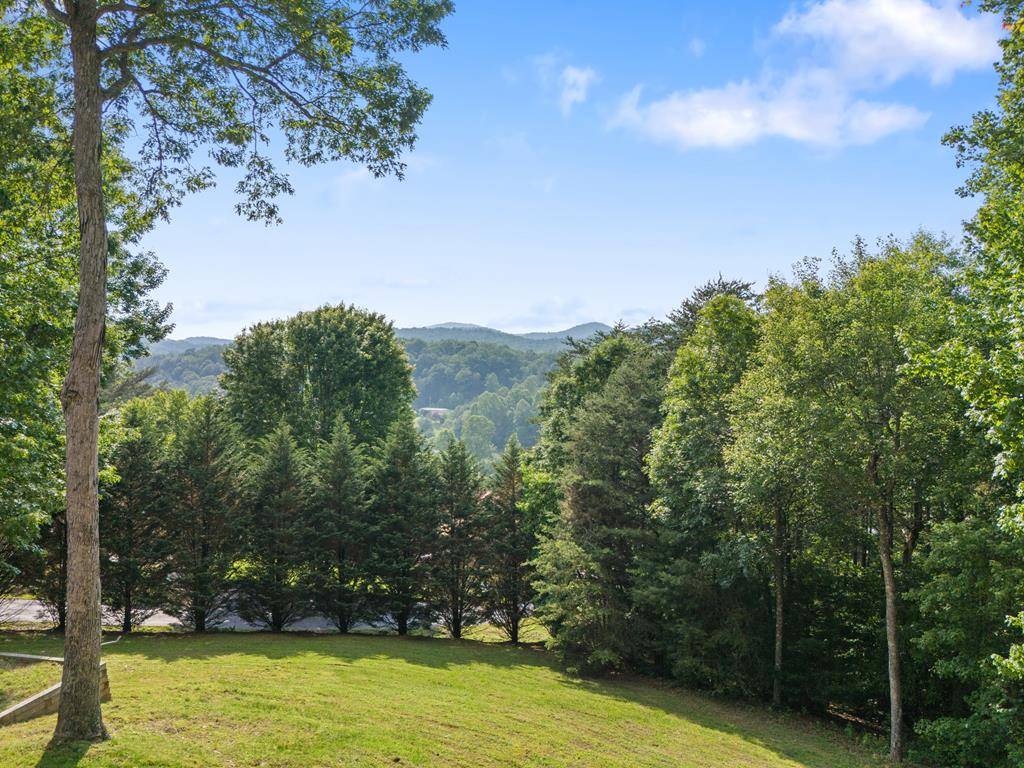Suches, GA 30572,115 Wildcat Run Road