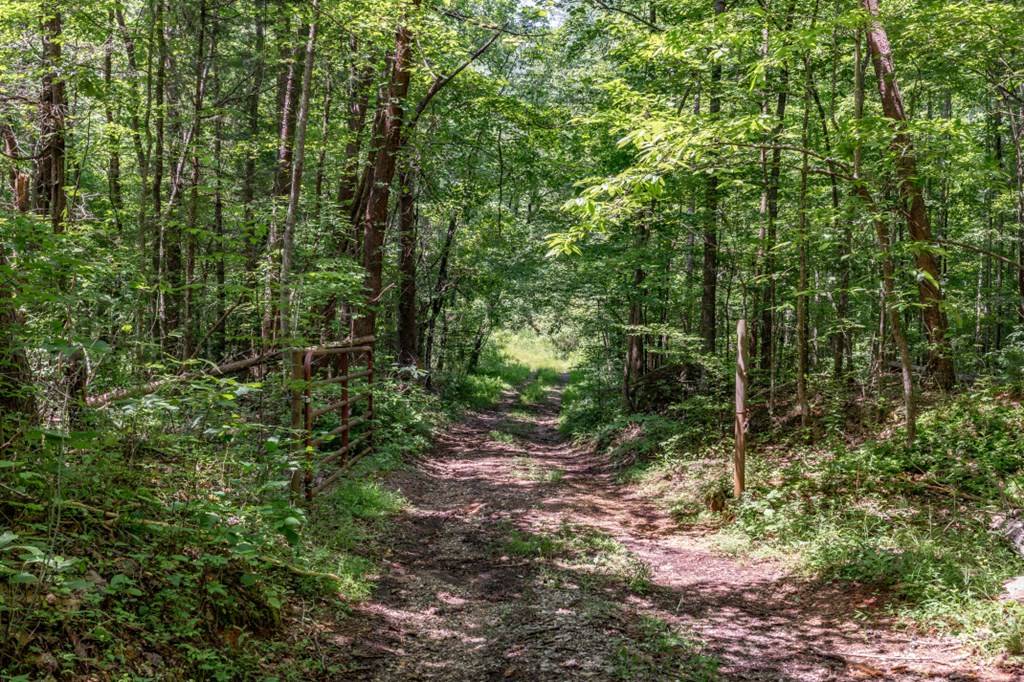 Young Harris, GA 30582,26.18 AC Green Road
