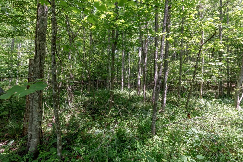 Young Harris, GA 30582,26.18 AC Green Road