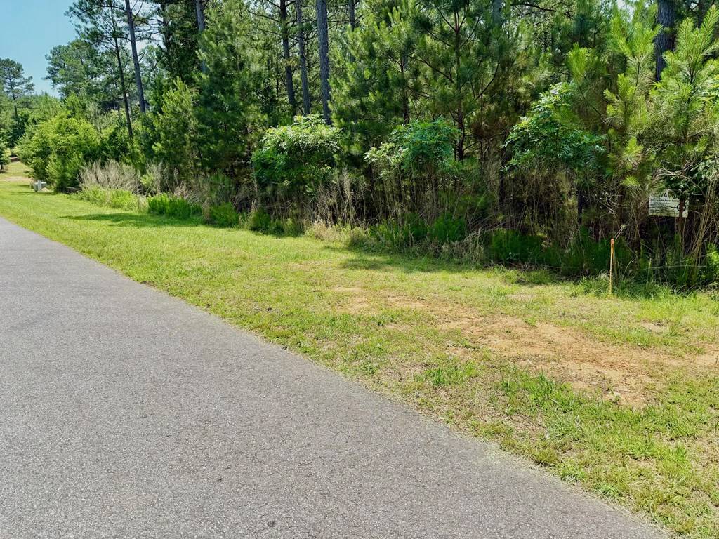 Blairsville, GA 30512,267 Garden Street