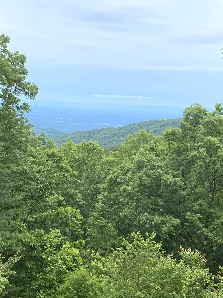 Ellijay, GA 30540,539 Dowel Circle
