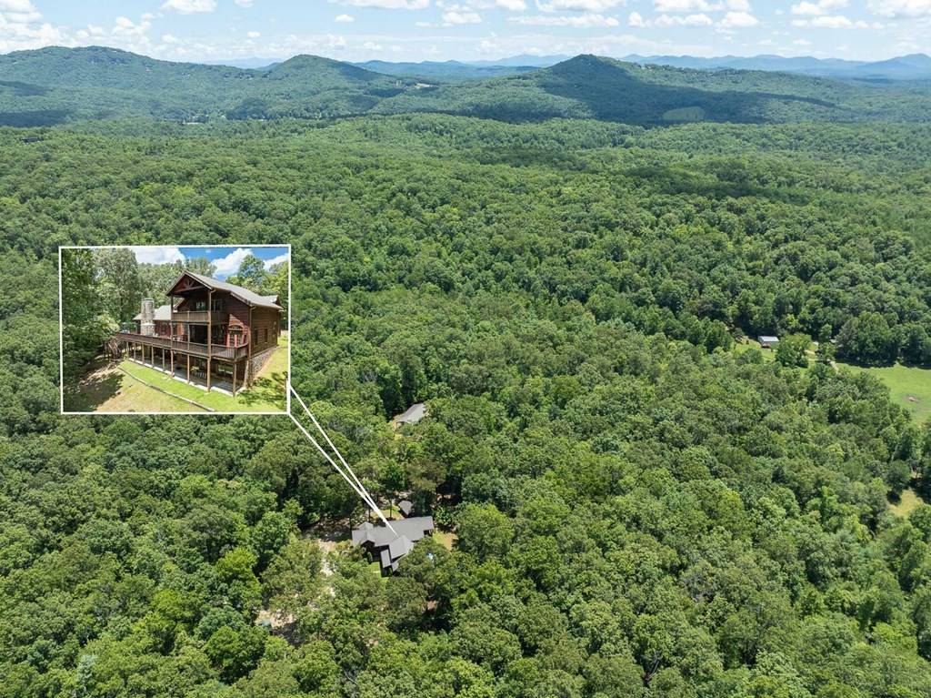 Mineral Bluff, GA 30560,381 Ross Drive