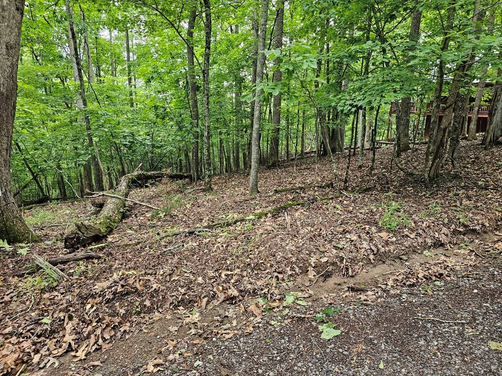 Murphy, NC 28906,Lot 13-B Mountain Top Drive