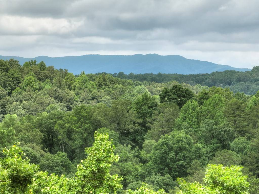 Ellijay, GA 30540,897 Faraday Drive