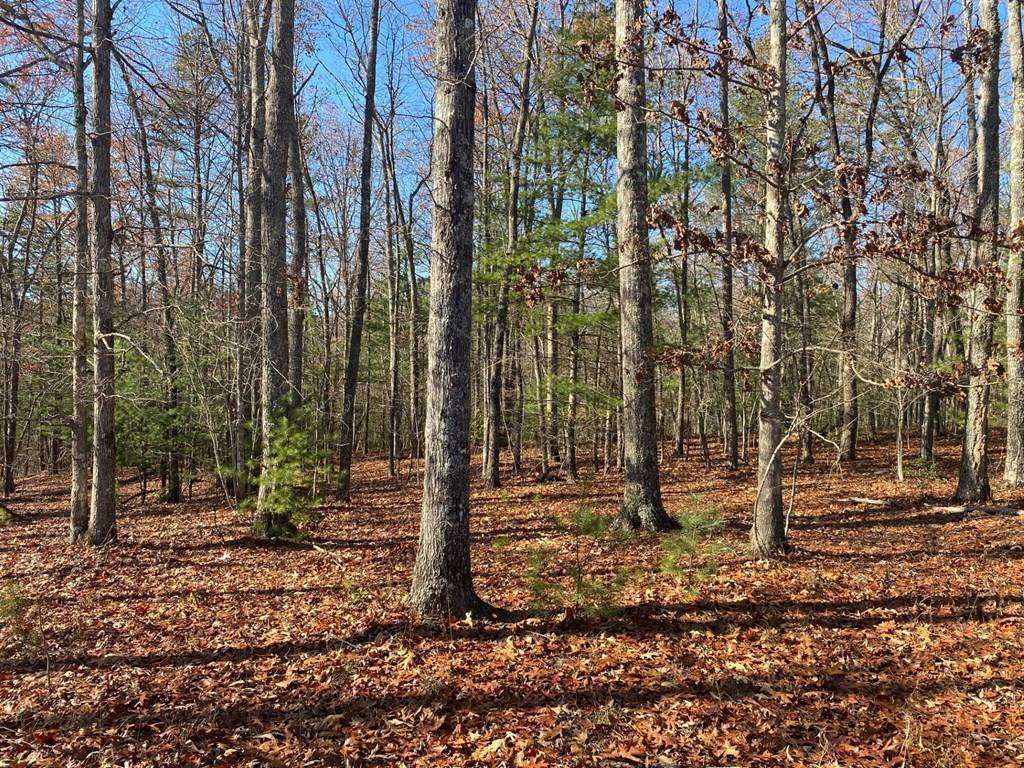 Murphy, NC 28906,539 Sierra Circle